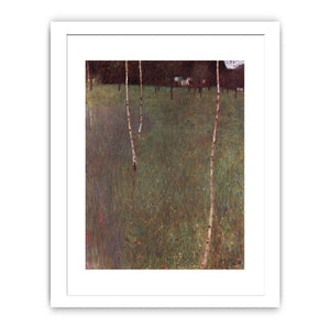 Farmhouse With Birches