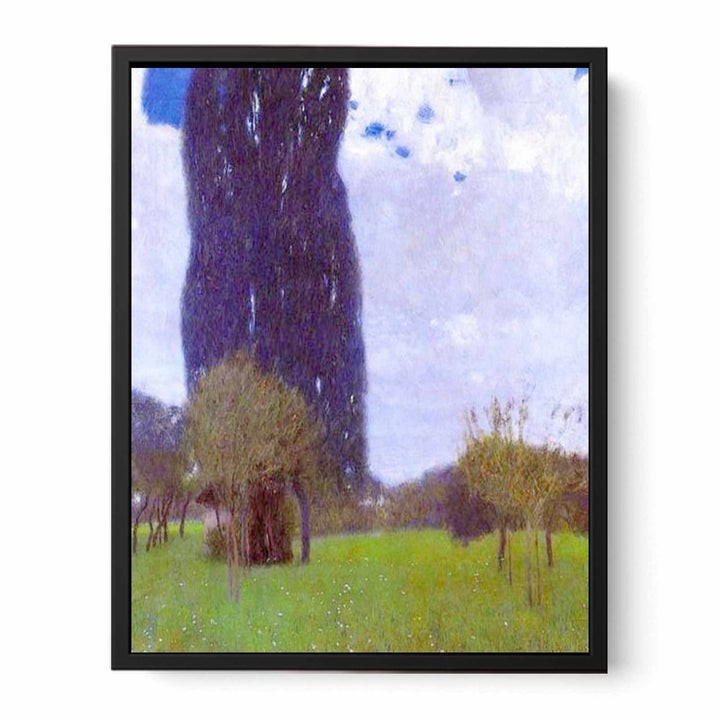 The Tall Poplar tree II