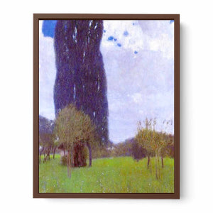 The Tall Poplar tree II