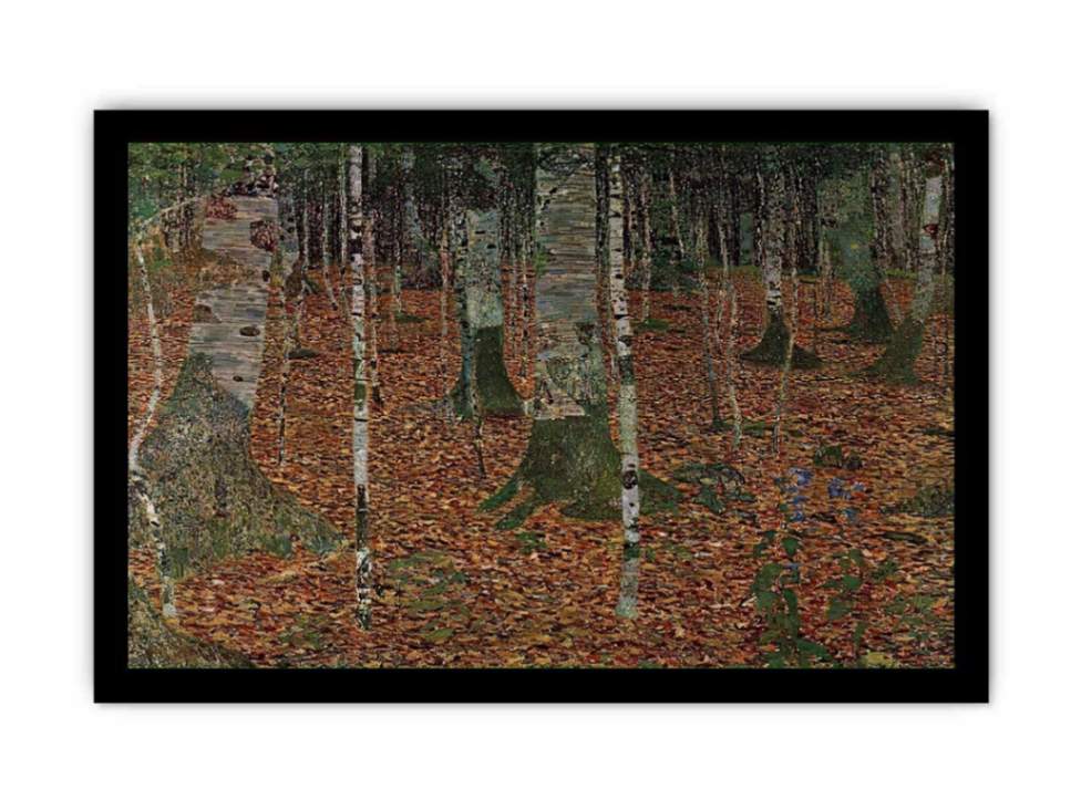Birch Forest