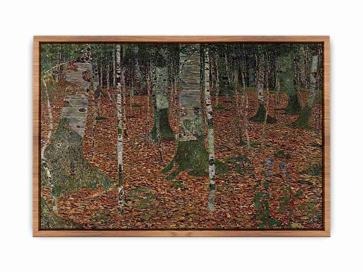 Birch Forest