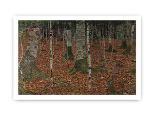 Birch Forest