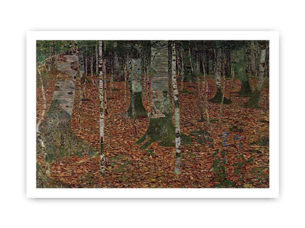 Birch Forest