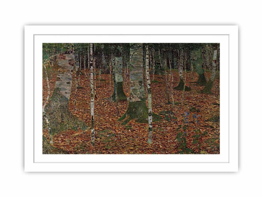 Birch Forest