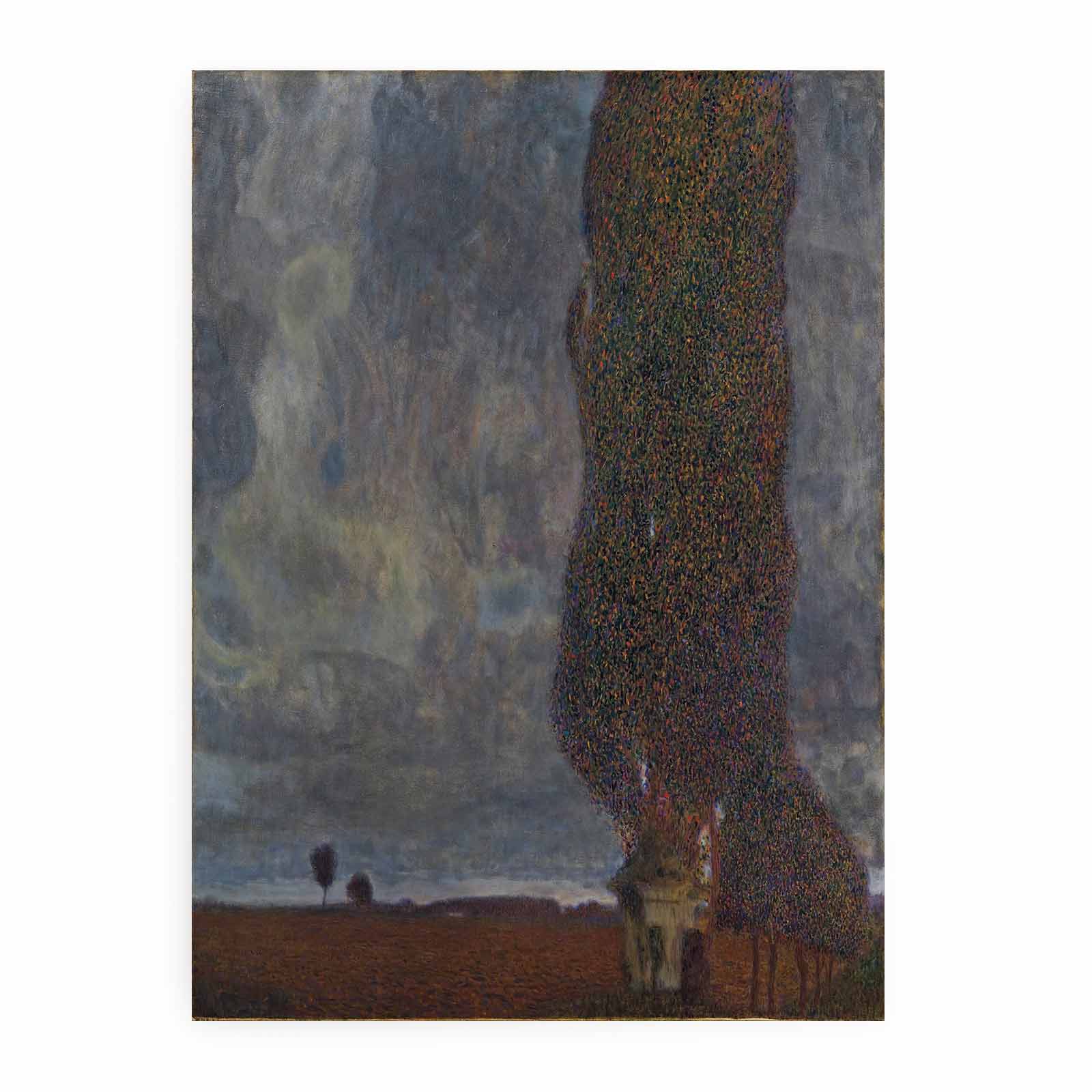 The Large Poplar II
