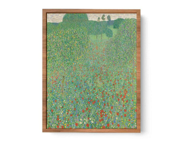 A Field of Poppies