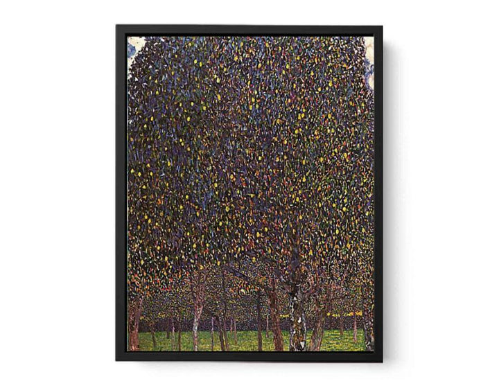 The Pear Tree