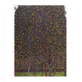 The Pear Tree