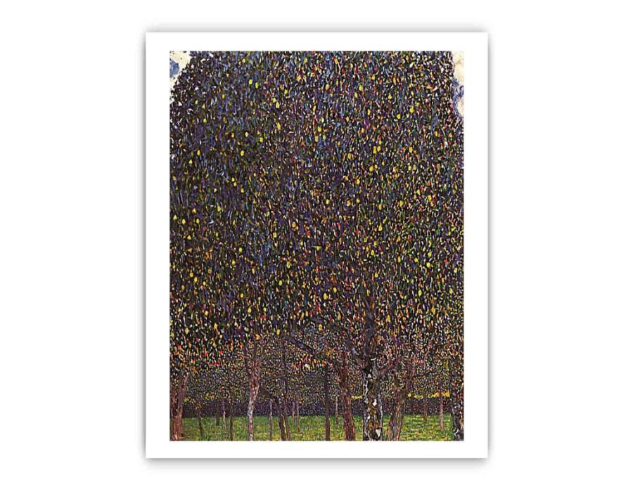 The Pear Tree