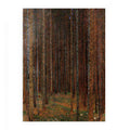 Fir Forest I
