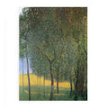 Fruit tree
