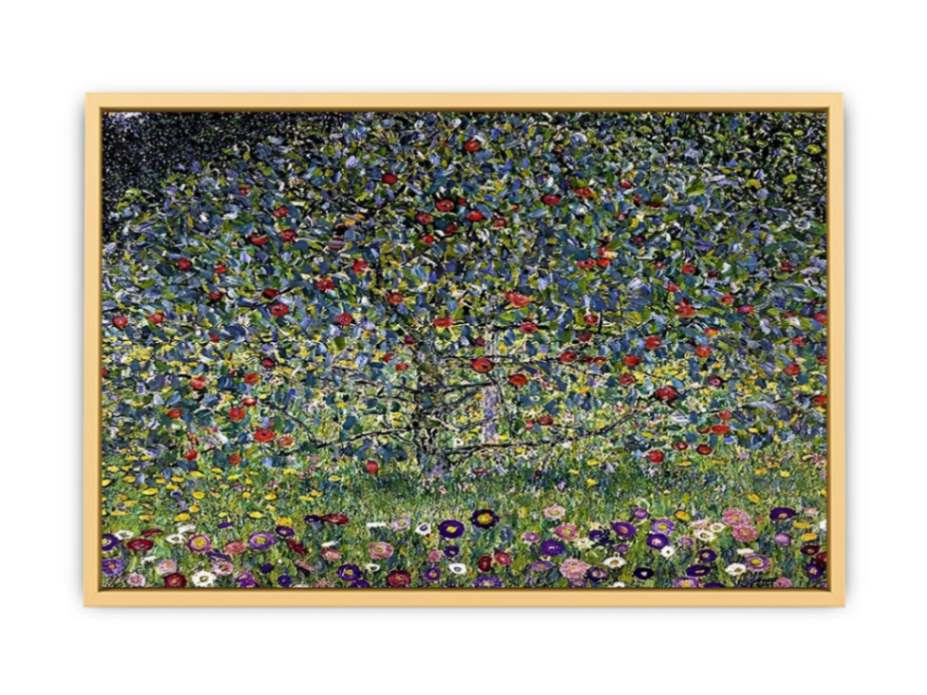 Apple Tree I