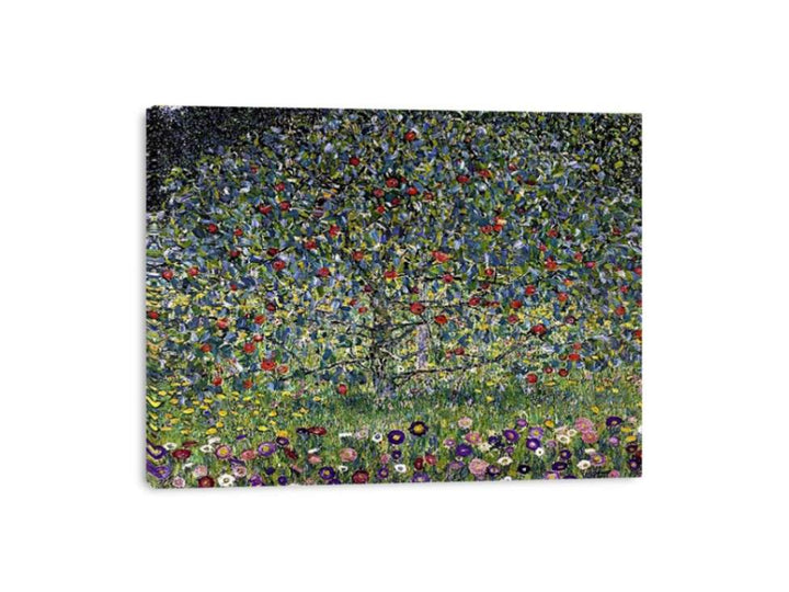 Apple Tree I