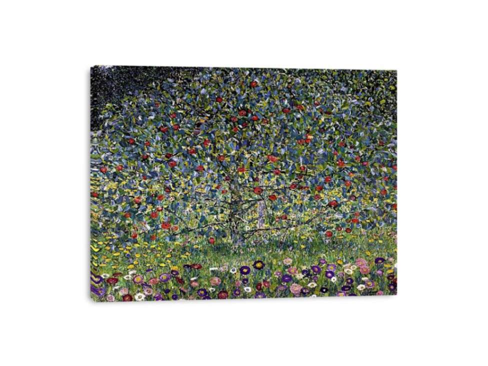 Apple Tree I