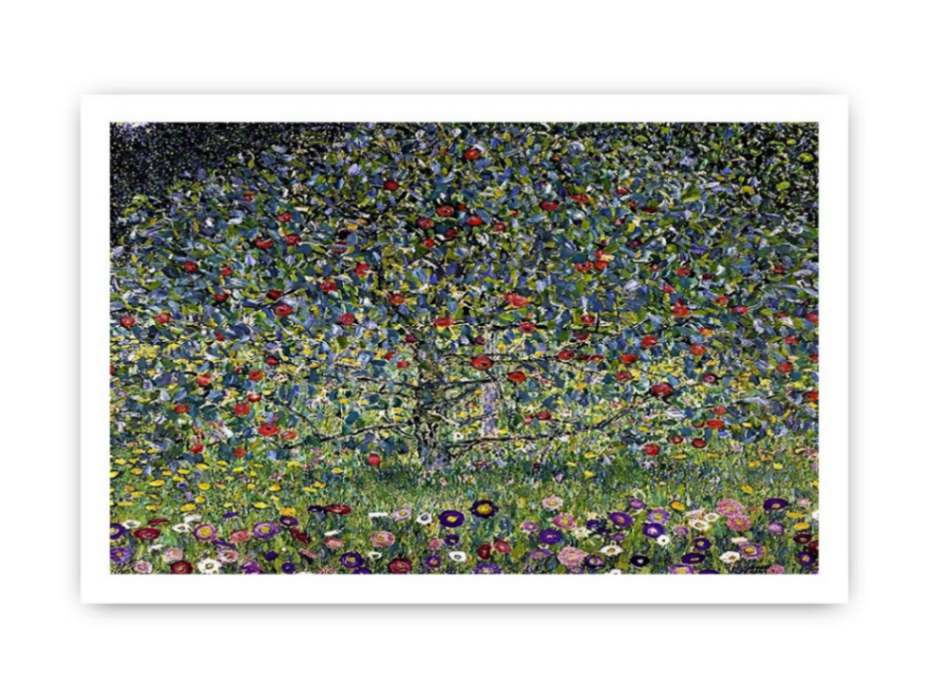 Apple Tree I