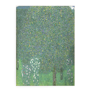 Roses Under the tree 1905
