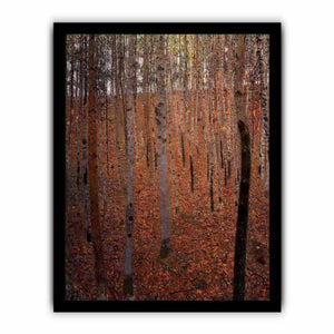 Beech Forest Buchenwald I