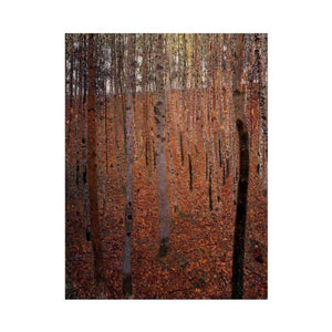 Beech Forest Buchenwald I