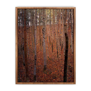 Beech Forest Buchenwald I