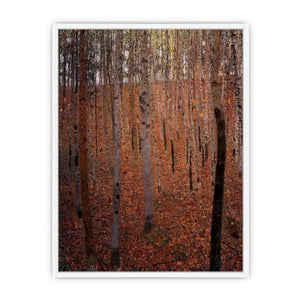Beech Forest Buchenwald I