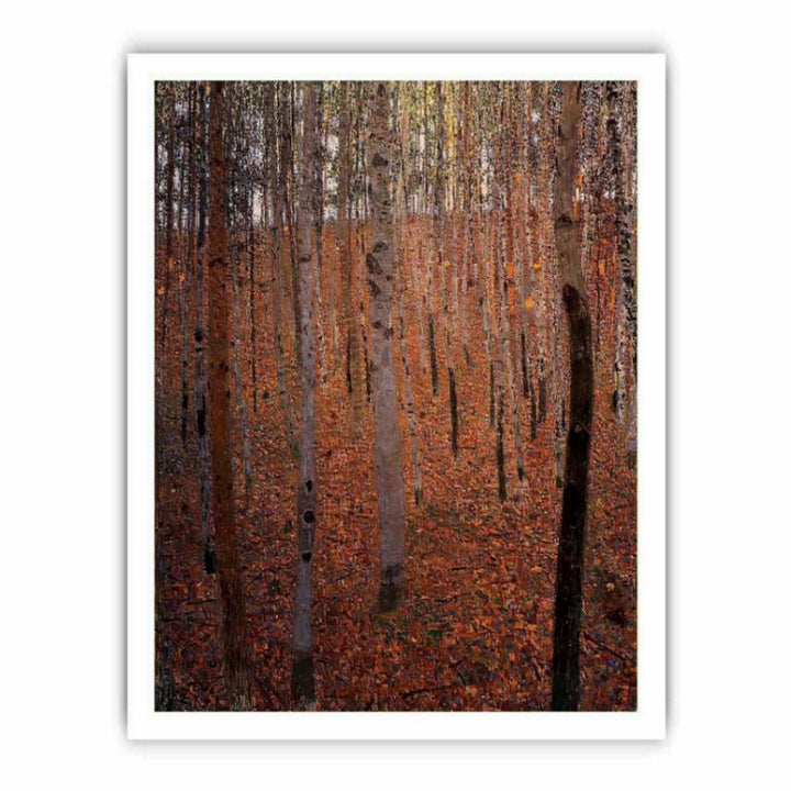 Beech Forest Buchenwald I