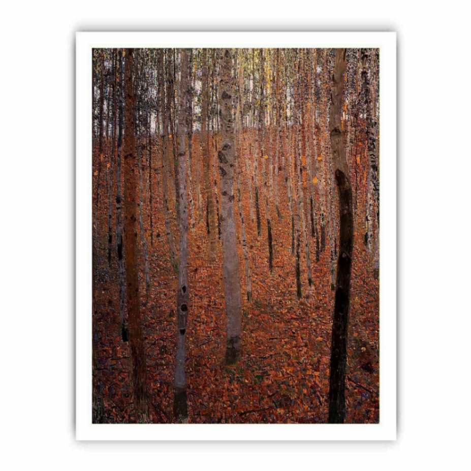 Beech Forest Buchenwald I