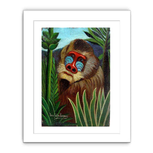 Mandrill in the Jungle