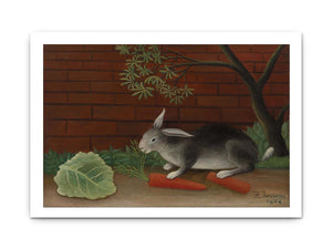 Rabbit