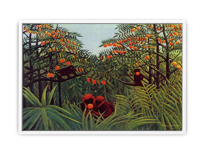 Apes In The Orange Grove