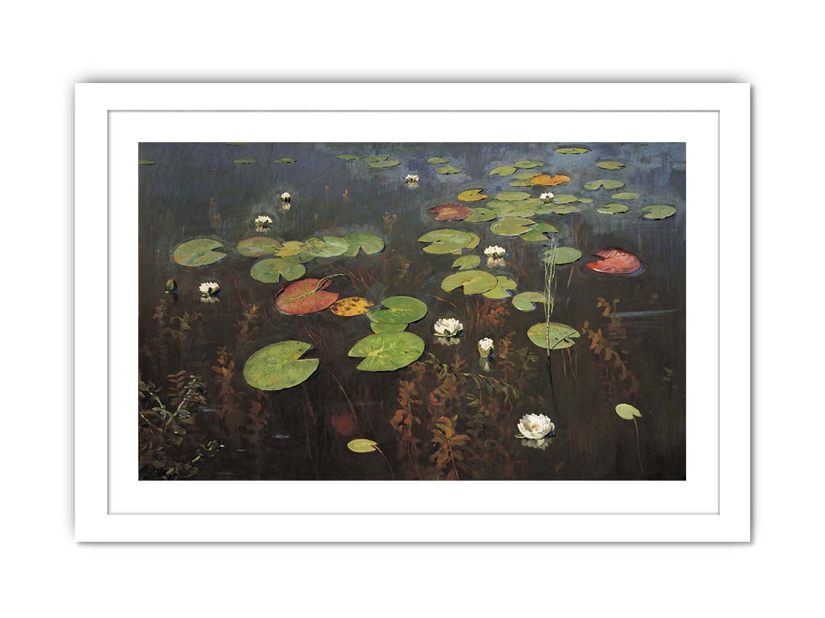 Water lilies