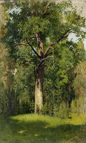 The Oak. Isaac Levitan