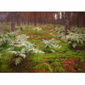 Fern in forest by I. Levitan