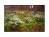 Fern in forest by I. Levitan artwork preview