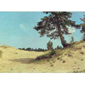 Pine on sand