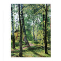 Deciduous Forest. Etude