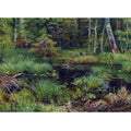 Spring in the forest