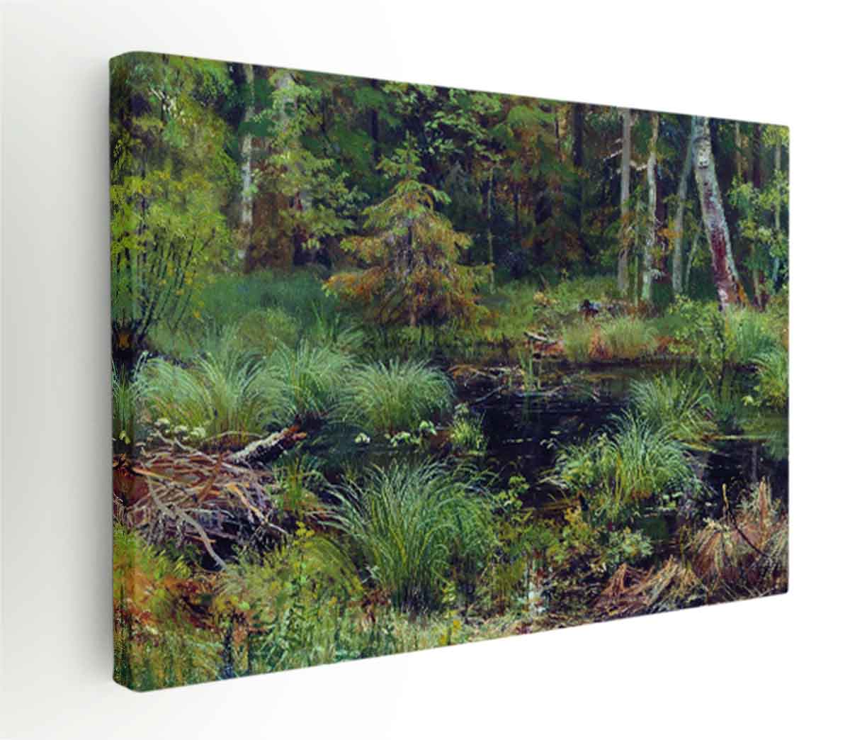 Spring in the forest