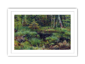 Spring in the forest