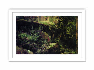 Stones in the Forest. Valaam