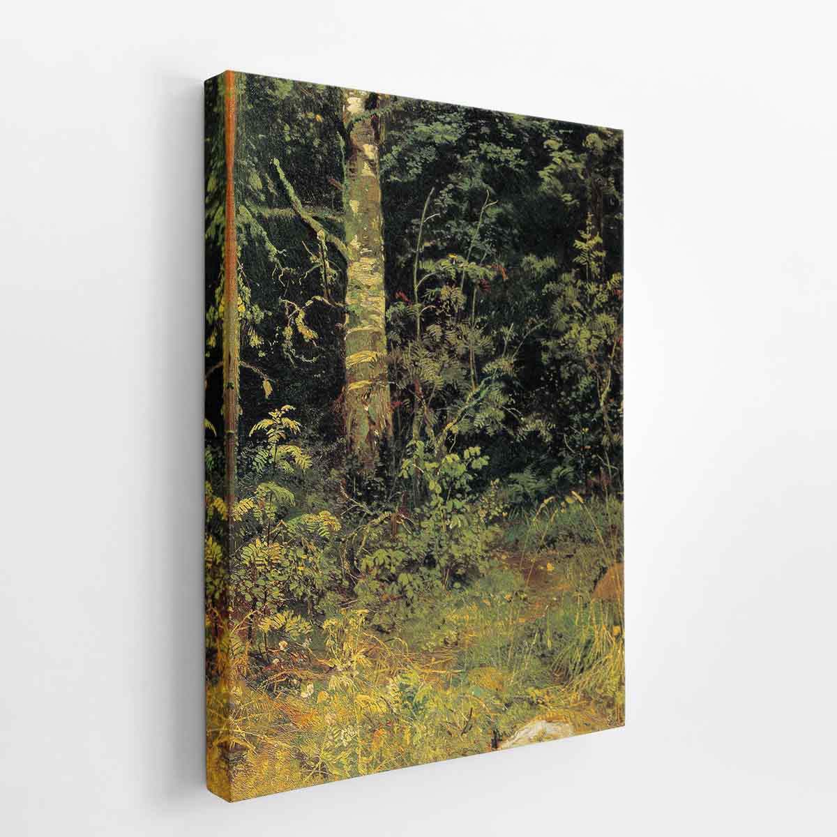 Birch and rowan