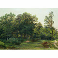 Deciduous forest