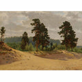 Ferns in the Forest. Siverskaya