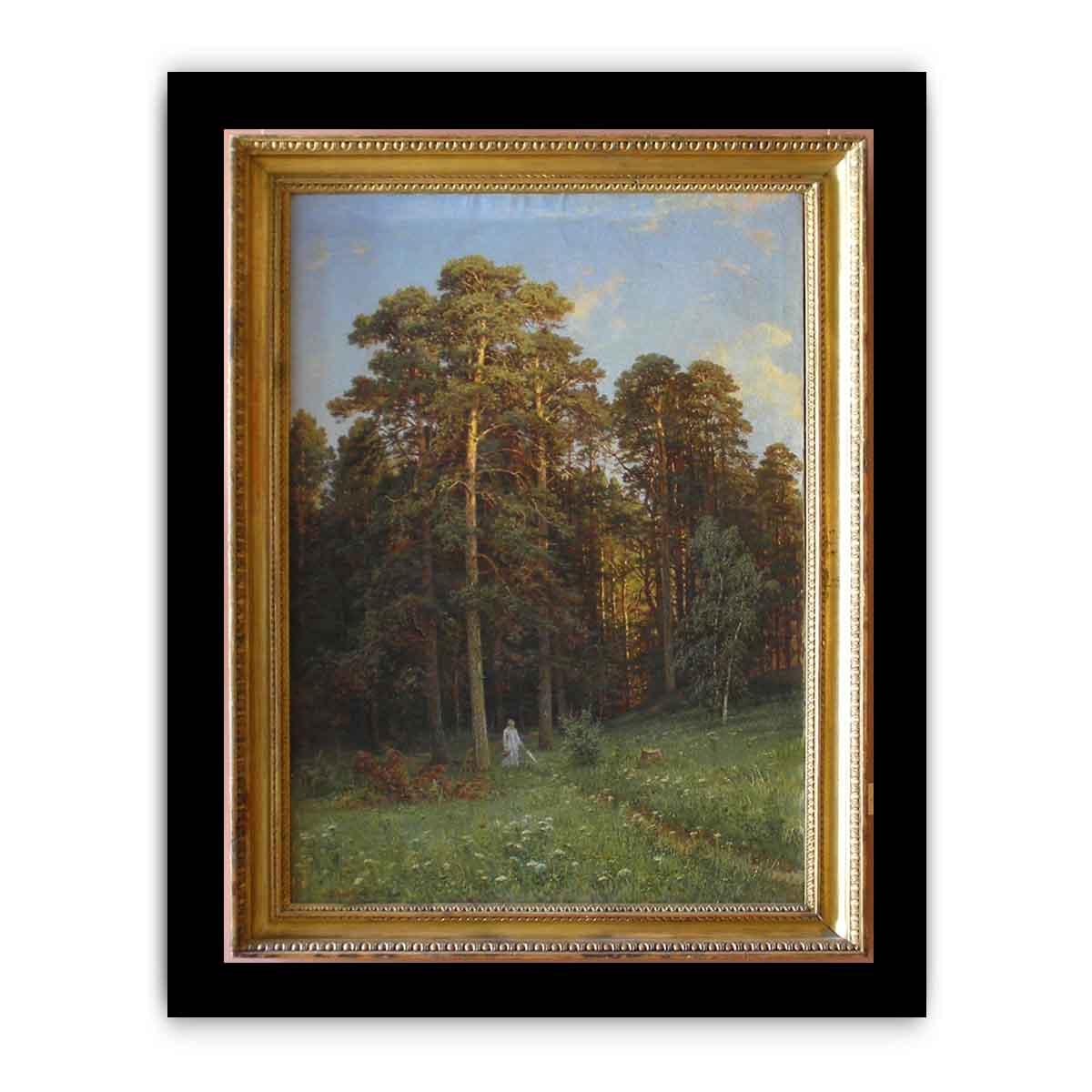 The Edge of a Pine Forest