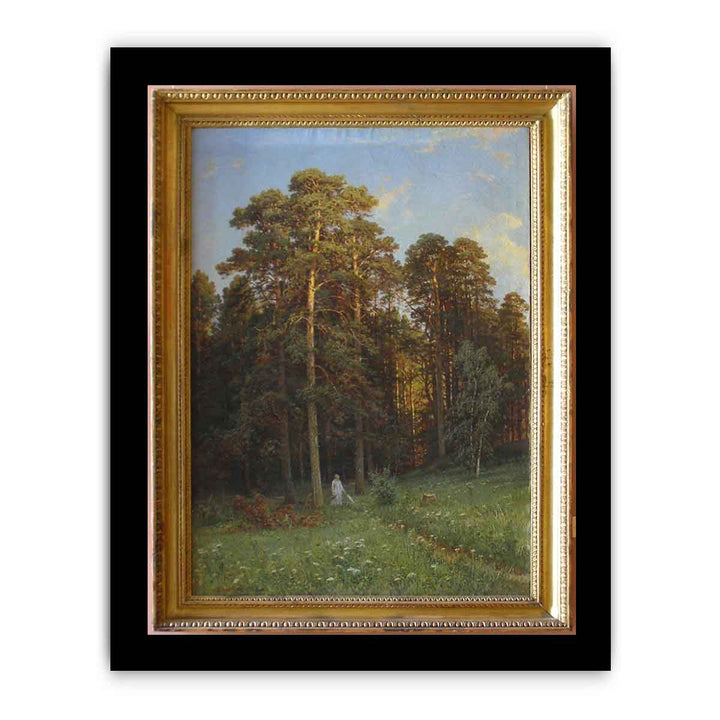 The Edge of a Pine Forest