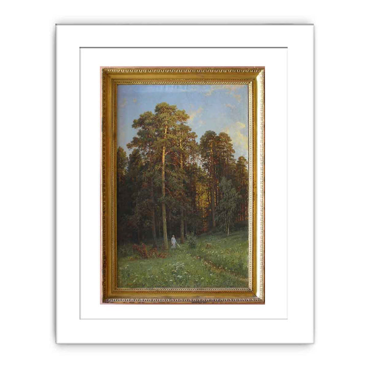 The Edge of a Pine Forest