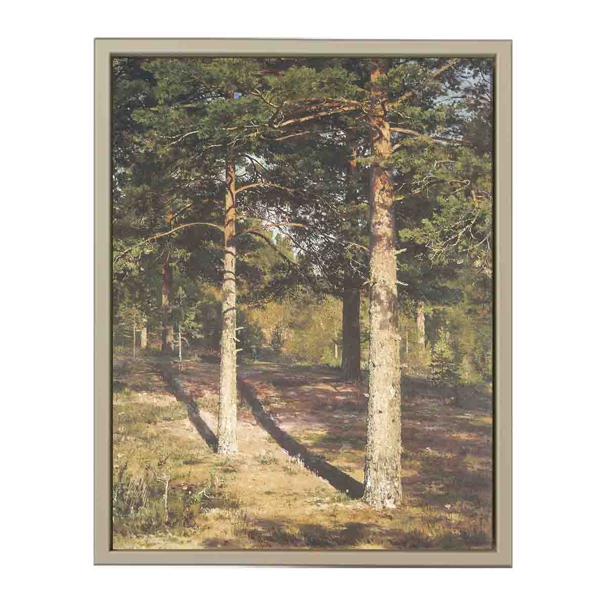 The Sun Lit Pines
