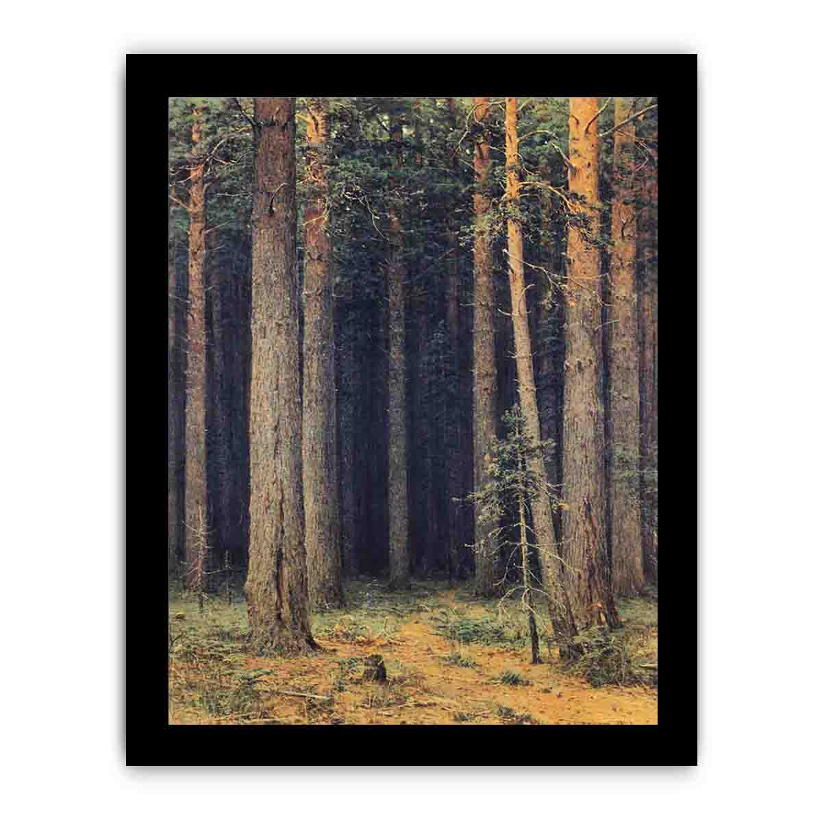 Forest Reserve, Pine Grove