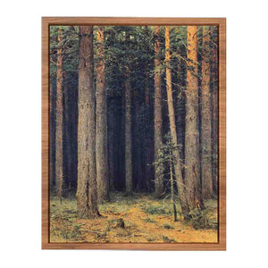 Forest Reserve, Pine Grove