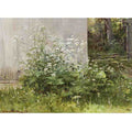 Flowers at the fence