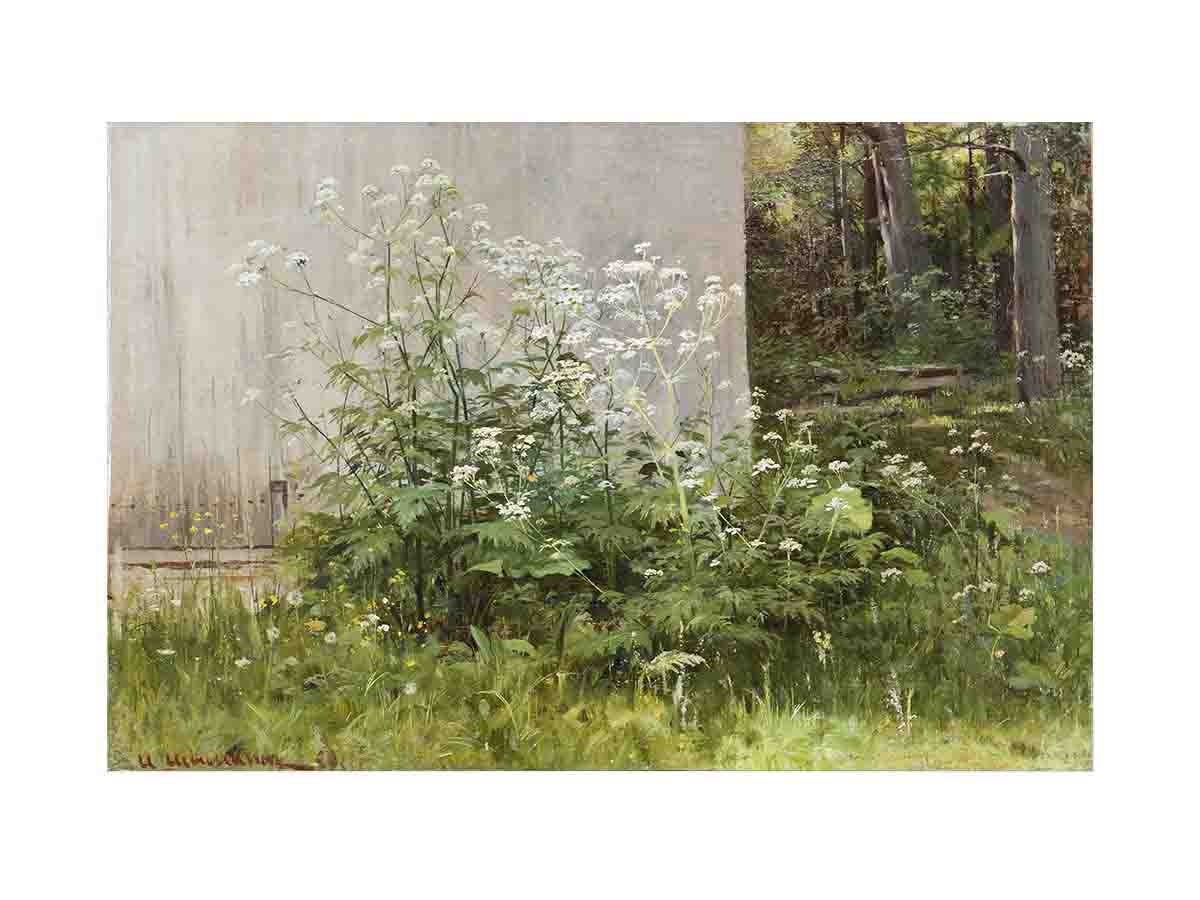 Flowers at the fence